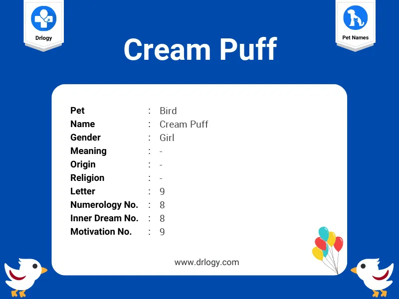 Cream Puff Name Meaning